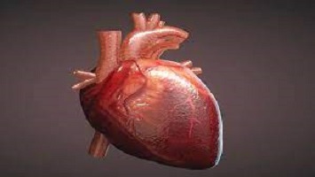 হার্ট ব্লকেজ ভালো হয়ে গেল