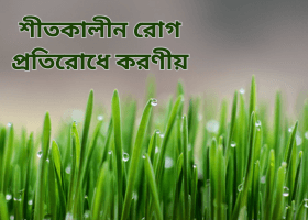 shitkalin-rog-protirodh-tips