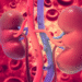 diabetes-kidney-egfr-creatinine-success (1)